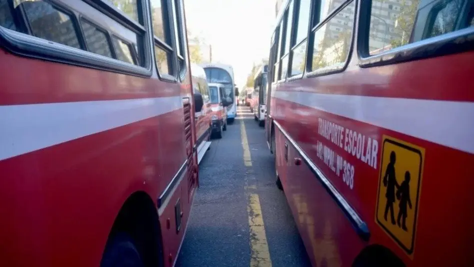 Se restableció el transporte escolar para colegios rurales: "Son 240 chicos y 120 recorridos, esto está resuelto" 