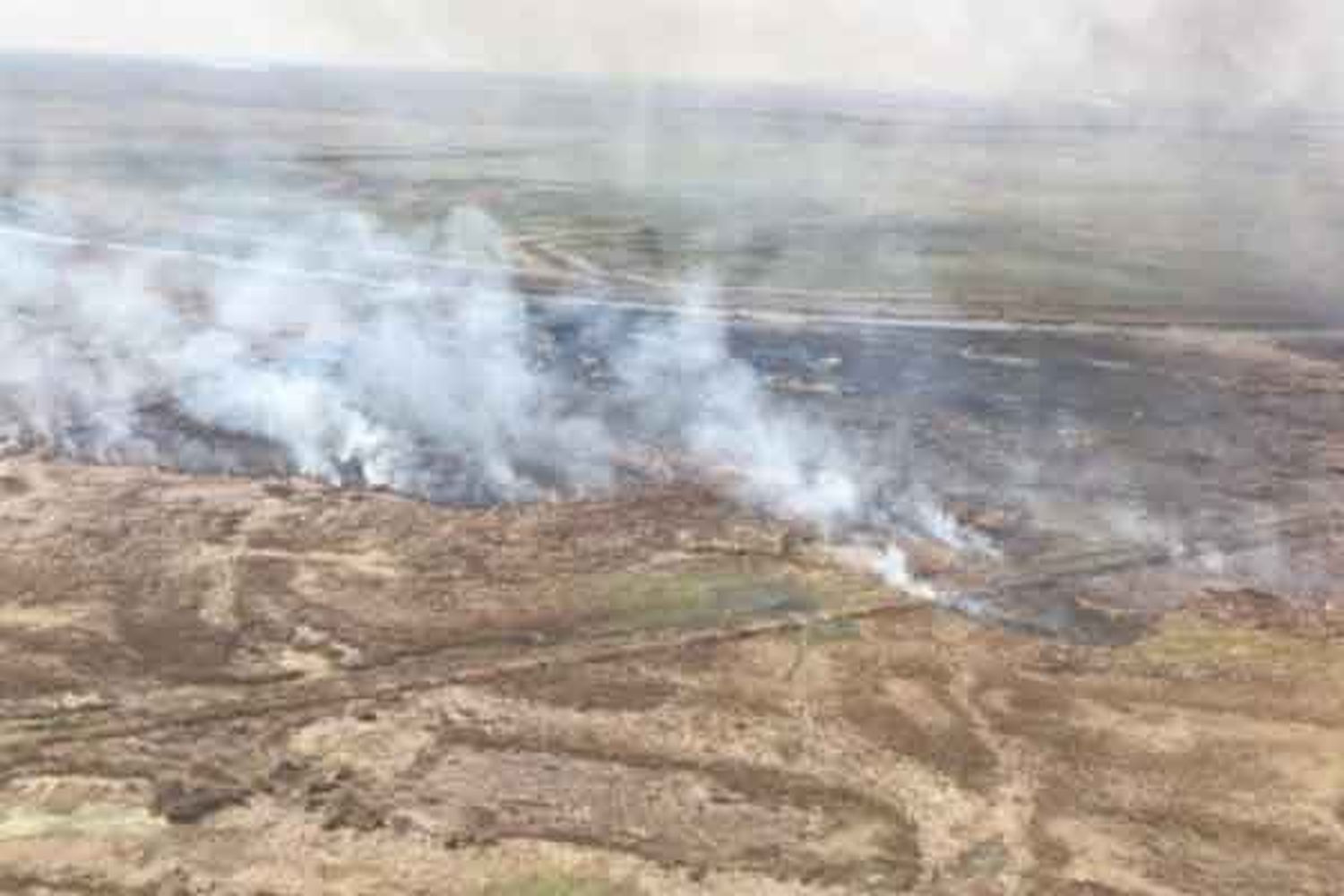 Respuestas colectivas ante la emergencia hídrica en el Delta del Paraná