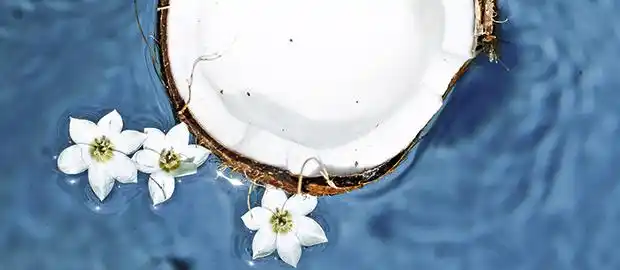 10 VERDADES DEL ACEITE DE COCO