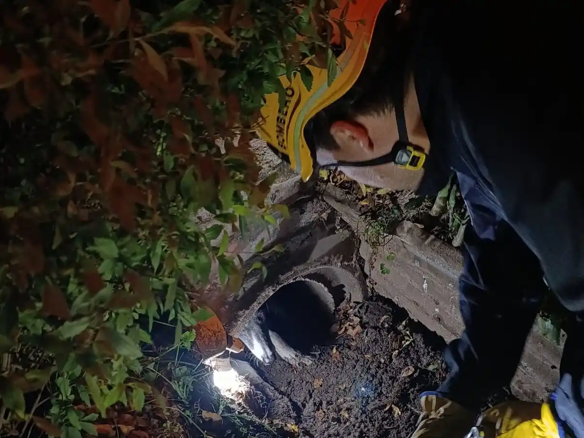 Crédito: Bomberos de Venado Tuerto.