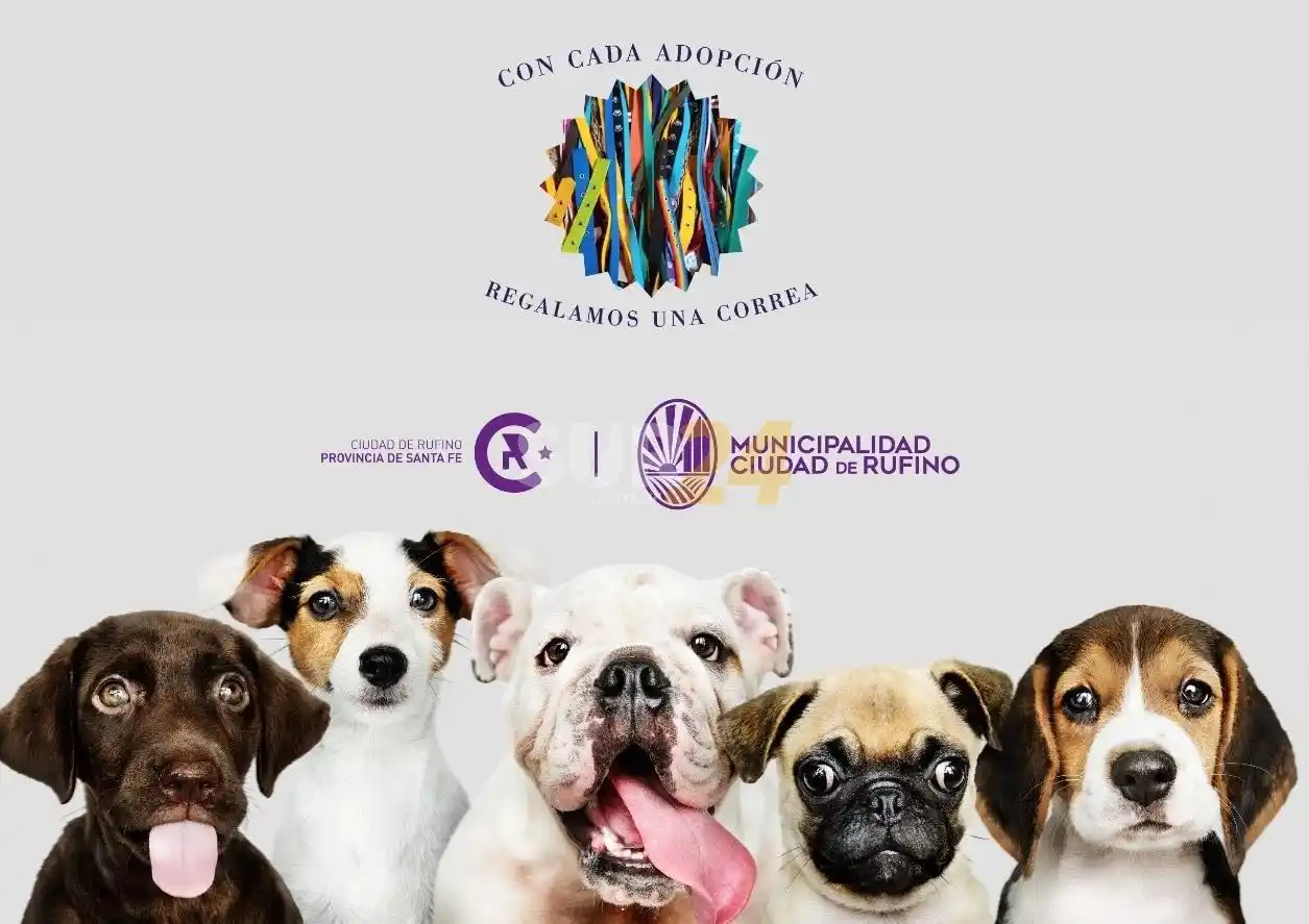 “Los lindos pasean en bondy”: original propuesta rufinense para fomentar la adopción canina