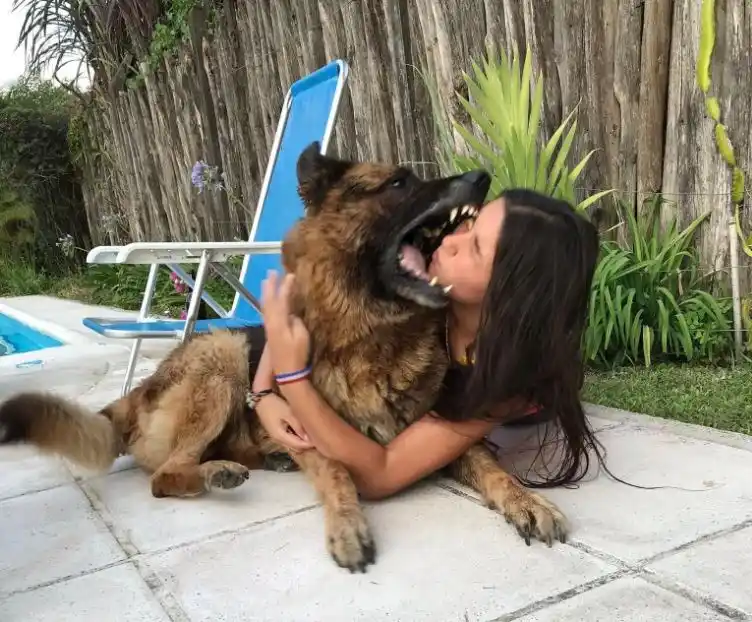 Se sacó fotos con su perro y terminó desfigurada