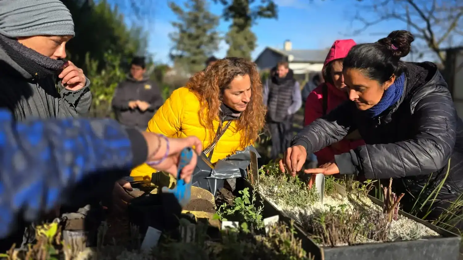 Comienza la edición 2026 del programa municipal de formación en jardinería, arbolado y paisaje.