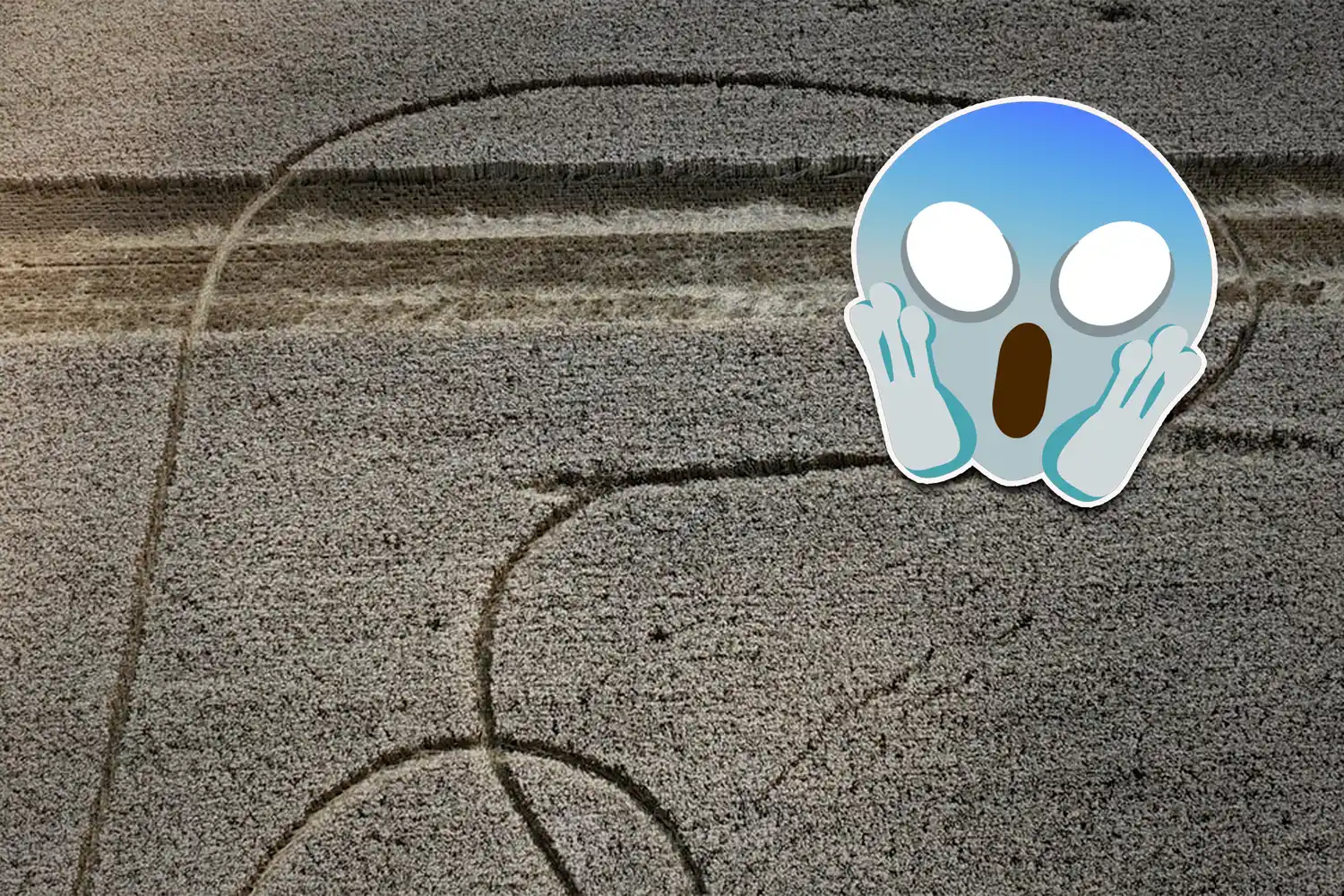 Aparecieron extrañas y sobrenaturales marcas en un campo de la región y causó enorme temor: "No estamos solos..."