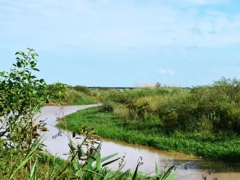 El predio forma parte del Legado Deliot, una donación testamentaria realizada a favor de la ciudad de Rosario.