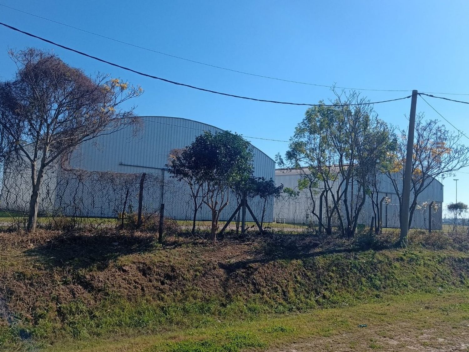 Acondicionan el entorno del Aeródromo de Rafaela tras un pedido de la ANAC