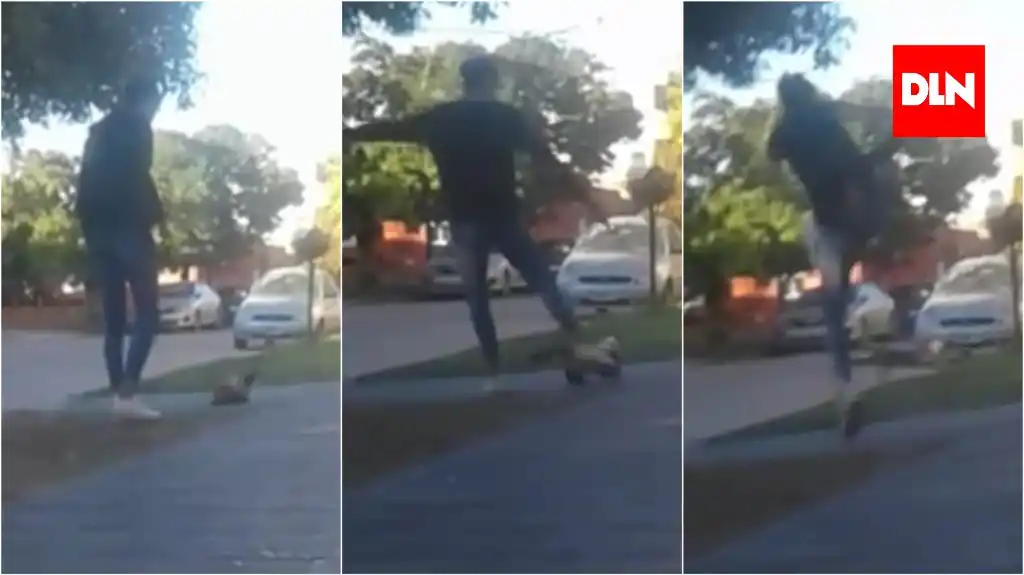 Brandsen: Indignación y repudio a jóvenes que agreden a un gato