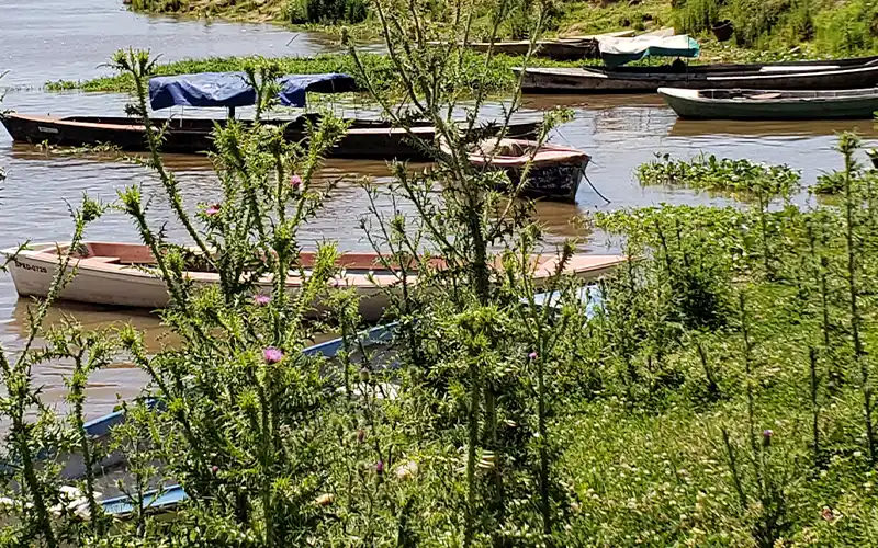 Robaron en varias embarcaciones amarradas en zona del puerto