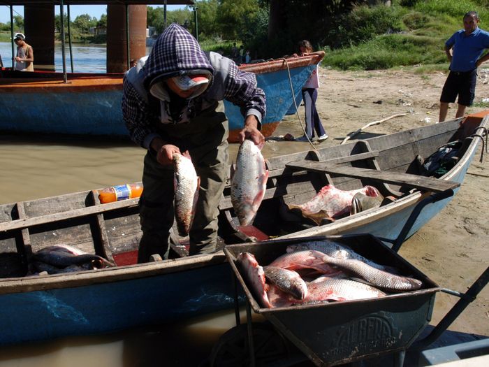 acuerdo santa fe entre rios pesca biodiversidad alejandro luciani - 1
