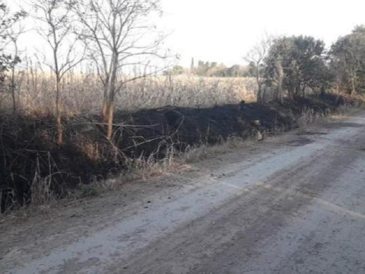 Incendio de banquina a pocos metros del cementerio de Devoto