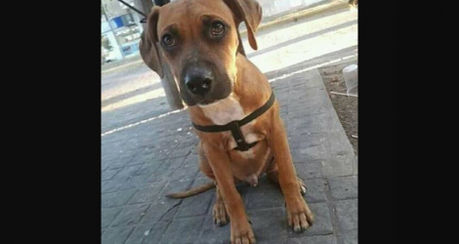 Buscan a Batán