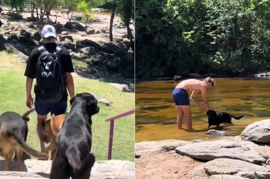 Acompañados por perros callejeros