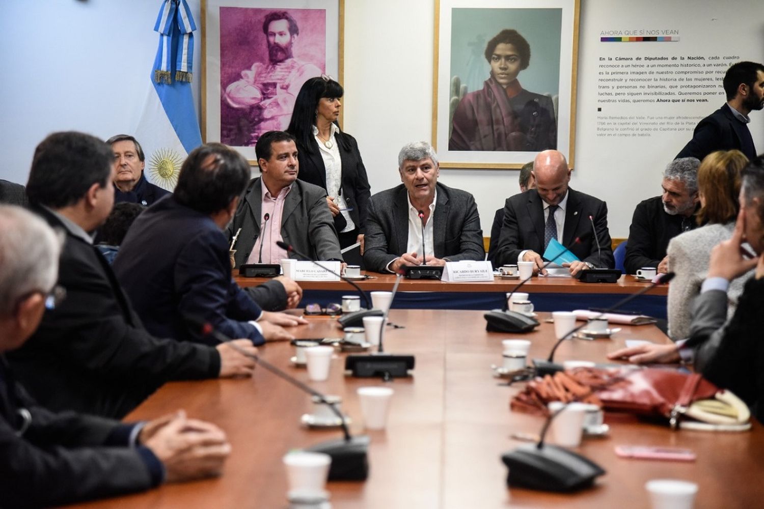 Reunión informativa sobre el proyecto de ley de fomento al desarrollo agrobioindustrial en Diputados.