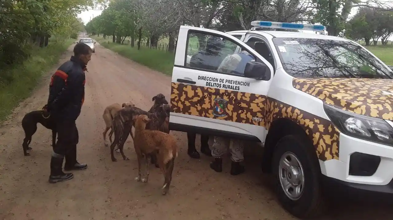 Identificaron a 13 cazadores furtivos durante cuatro procedimientos realizados en el Departamento