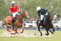 El polo, en definiciones