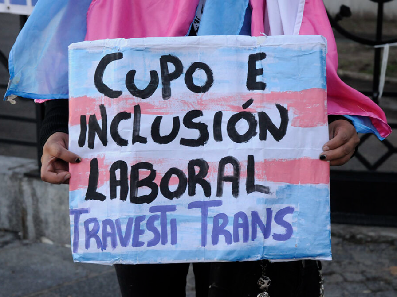 El Senado debate en comisión el proyecto de ley sobre cupo laboral travesti trans