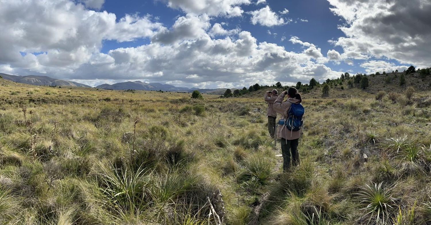 Parque provincial Tornquist: Actividades del fin de semana por el 85° aniversario