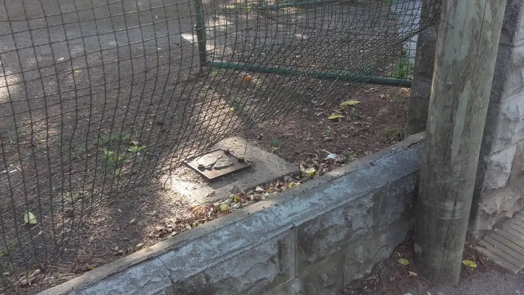 Advirtieron por reiterados actos de  vandalismo a la salida de un boliche