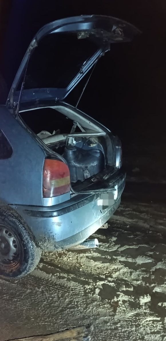 Decomisaron una cría de ciervo viva y piezas de caza en un operativo