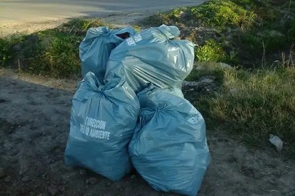 Se limpiaron más de 200 microbasurales en once meses