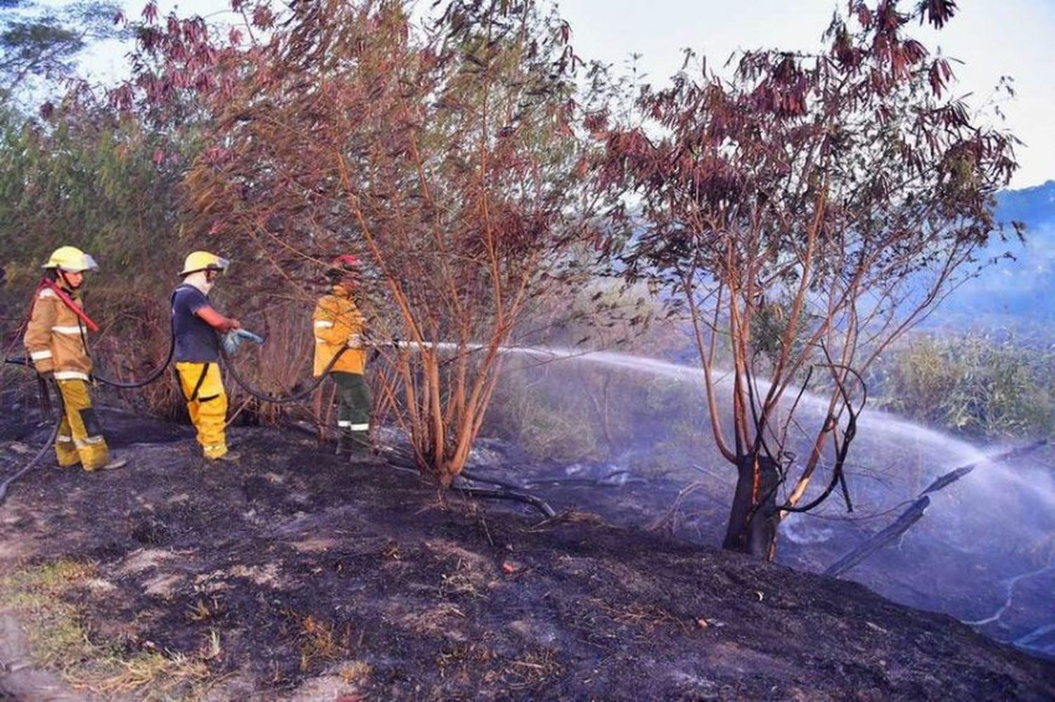 Bomberos voluntarios de Formosa ayudan en incendios de Corrientes