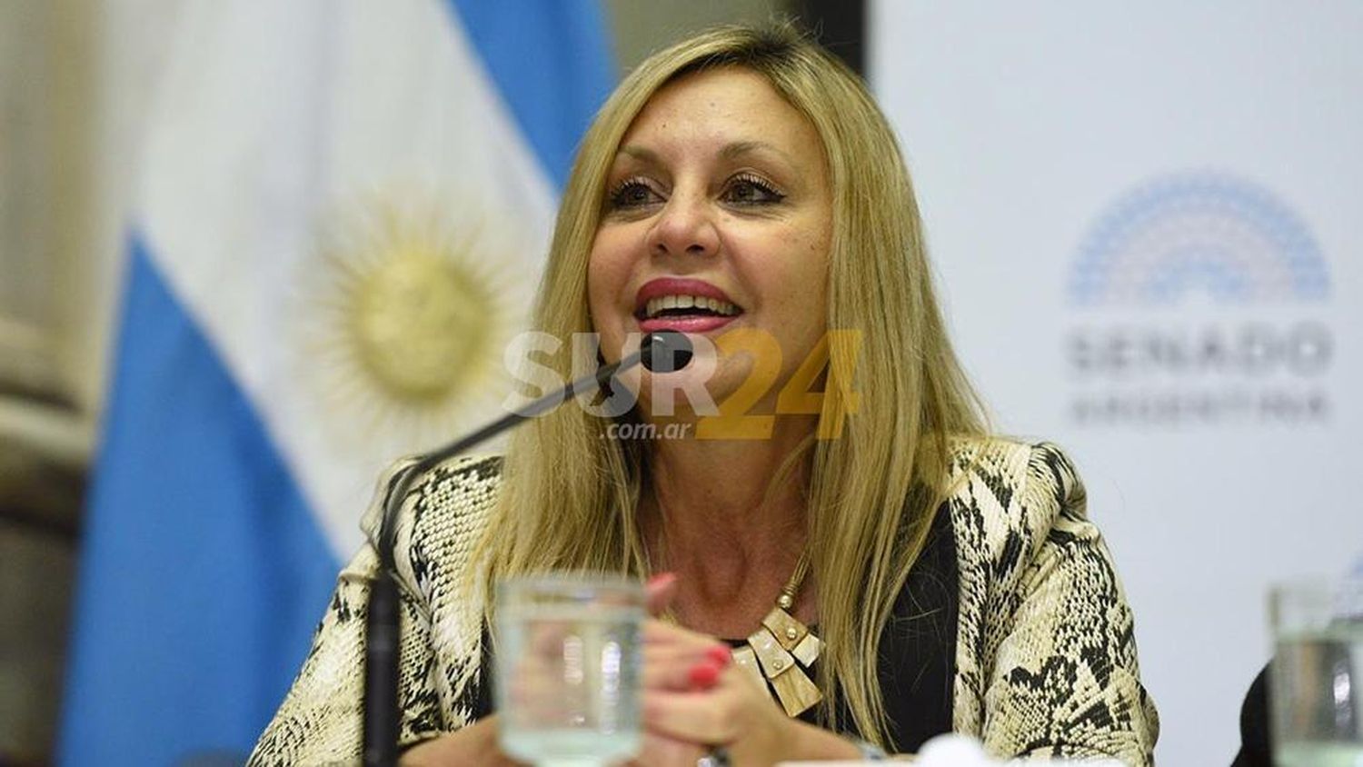 Marilin Sacnun, cuarta en la lista de Unión por la Patria en Santa Fe.