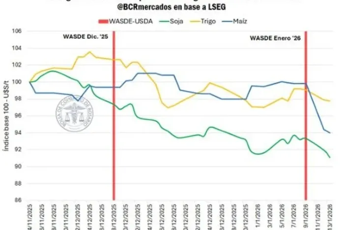 Cosecha record en Estados Unidos impacta en Argentina