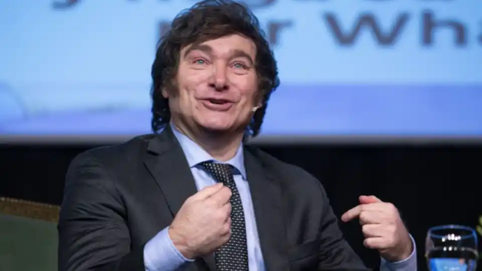 Mientras que en el Congreso se debate la "Ley Ómnibus", Milei hizo una videollamada con el fundador de Tinder