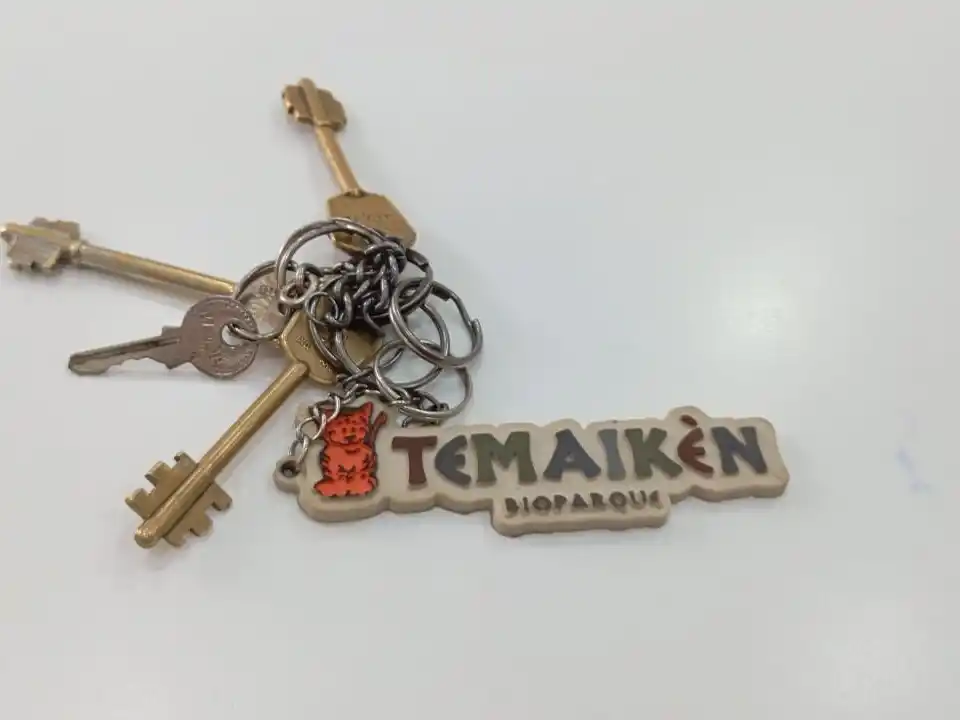 Hallaron llavero de Temaikèn