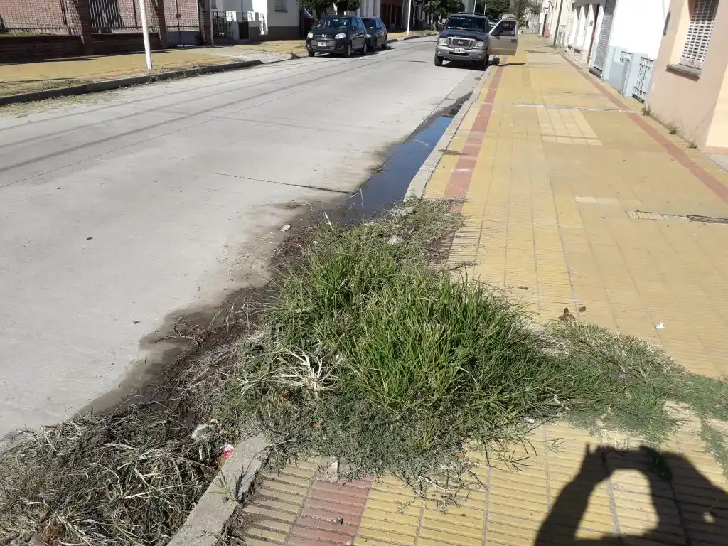 No se queje si no se queja