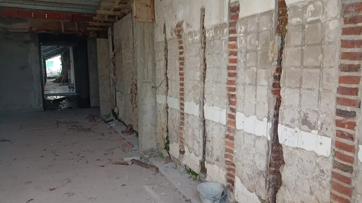 El estado de abandono es total (3)