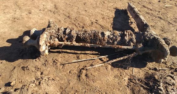 Vuelta de Obligado: hallaron un elemento de madera e investigarán si está relacionado a la Batalla