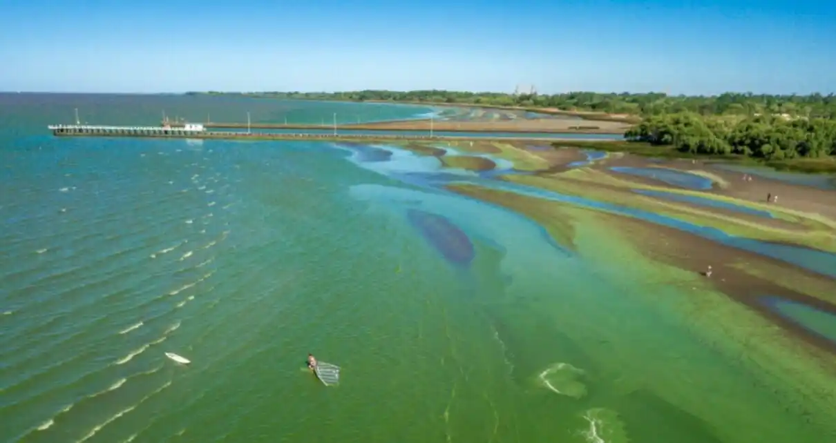 Cianosemáforo: Alerta Naranja por cianobacterias en la costa de Berisso