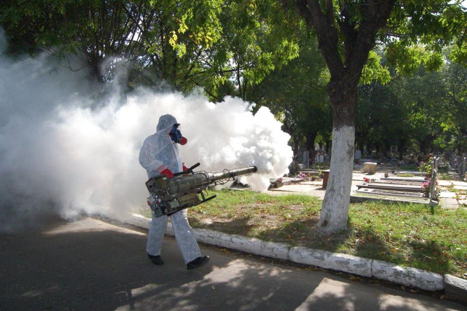 Consejos para prevenir el dengue, zika y chikungunya