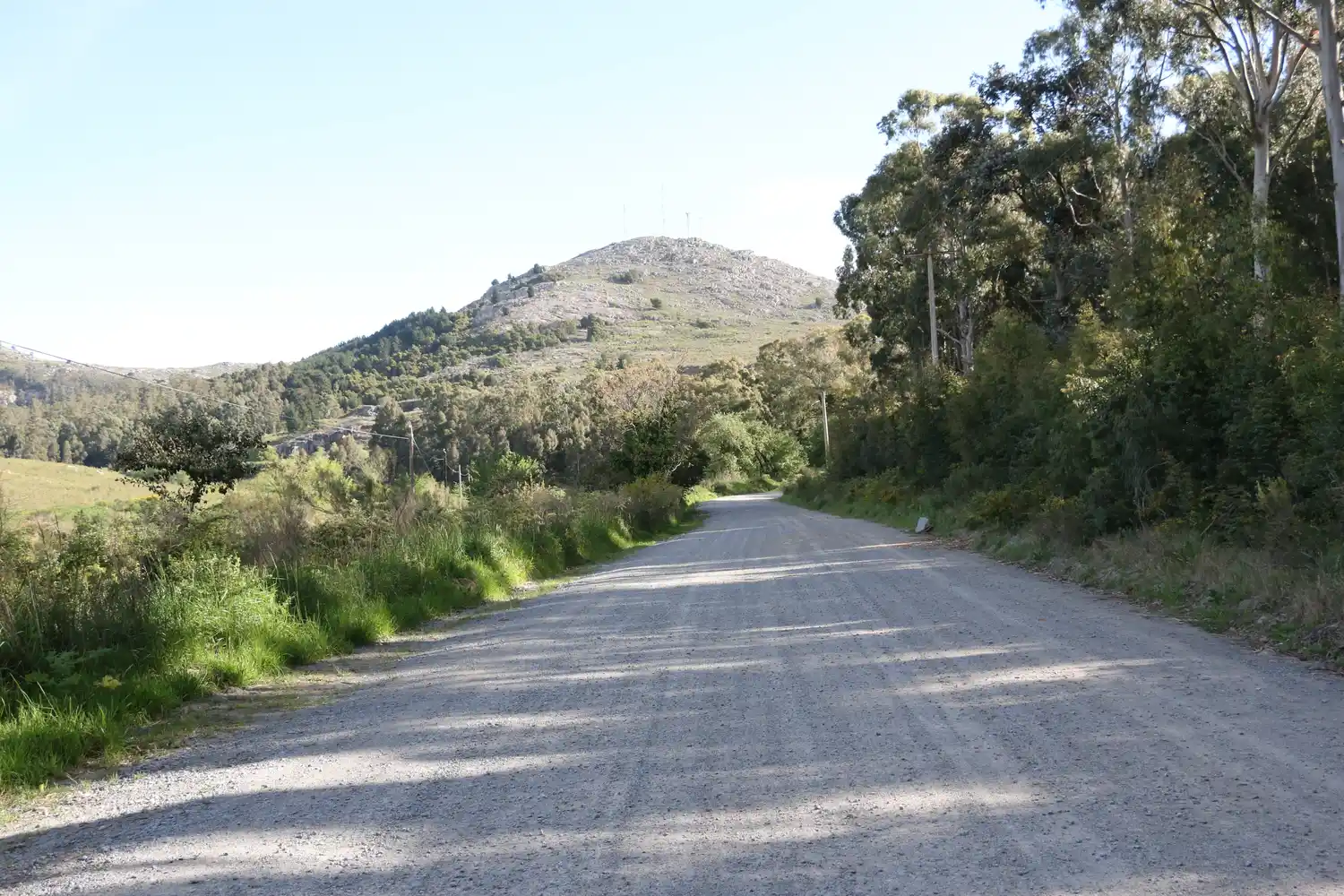 Fin del mito del Camino Misterioso