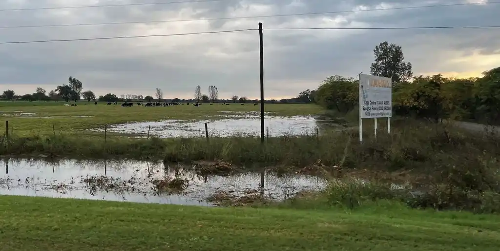 El temporal afectó al centro norte santafesino, dejando campos totalmente anegados.
