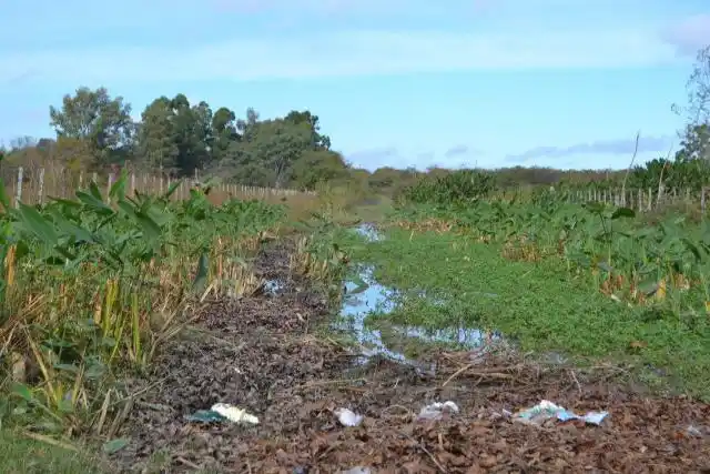 Vecinos de la Primera Sección Chacras quedan “encerrados” los días de lluvia