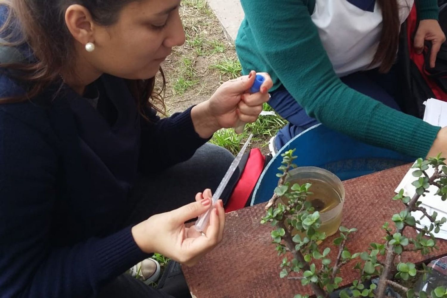 Toman medidas preventivas ante el mosquito transmisor del dengue