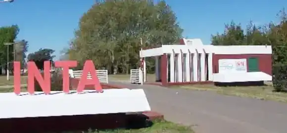 El Gobierno nacional evalúa desprenderse de más de 40 mil hectáreas del INTA