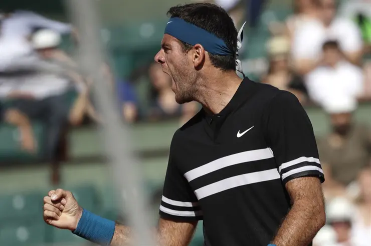 Del Potro avanzó a los octavos de final
