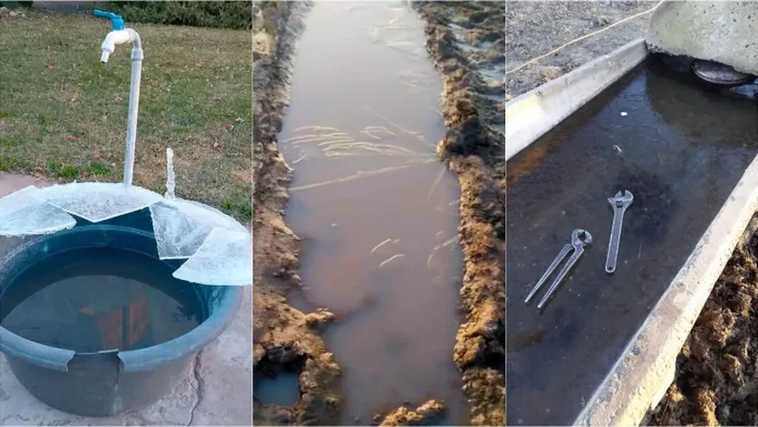 Entre Ríos bajo cero: el frío polar congeló charcos, bebederos, estanques y más