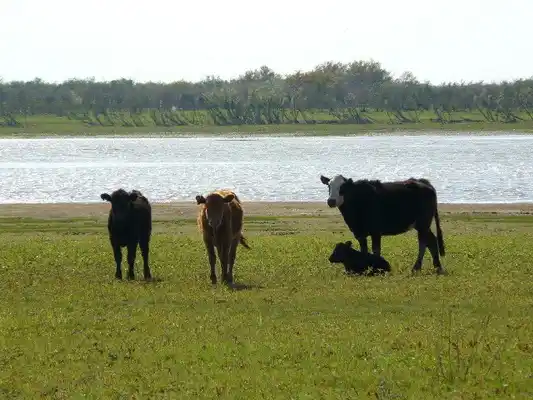 La Mesa de Enlace pidió que se declare la emergencia agropecuaria