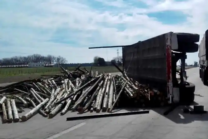 Camión volcó su carga de madera en plena Autovía Artigas