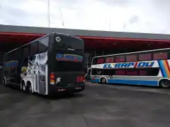 Paro de El Rápido: pasajeros sin conexión e incertidumbre entre los trabajadores