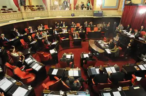 El Senado de la Provincia distinguió a la Hermana Rosa Ubal