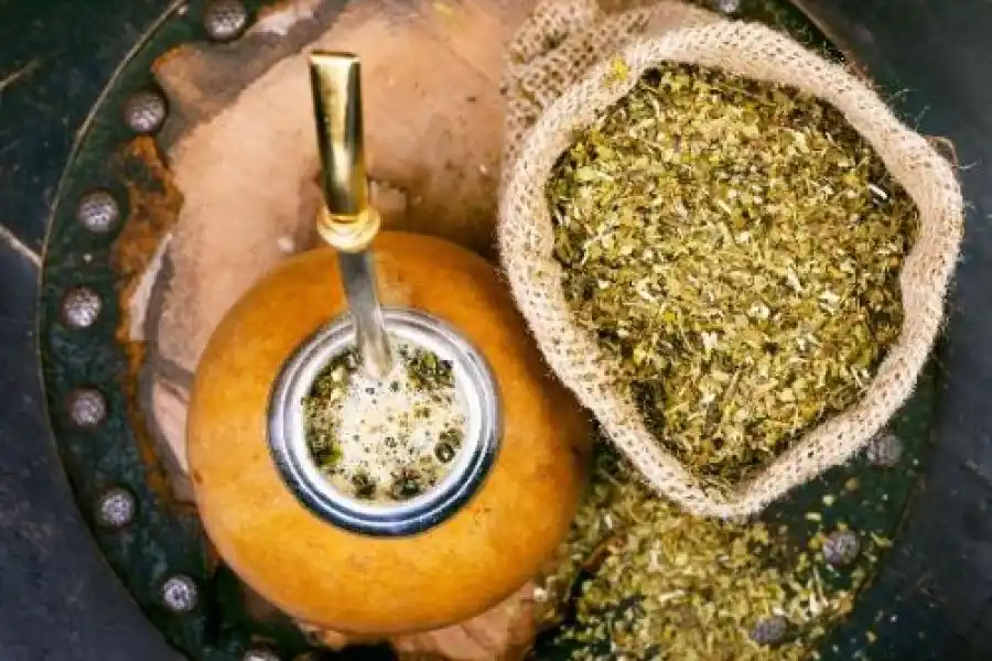 Bienestar: beneficios desconocidos de consumir yerba mate a diario