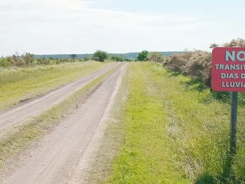 Camino propio: municipios se entusiasman con la posibilidad de mantener rutas rurales con fondos provinciales