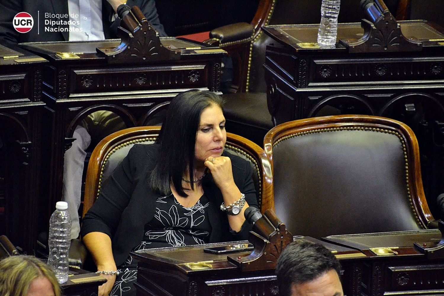 La diputada Lena afirmó que “si va a funcionar el Juicio Político tratemos los de Alberto y Cristina”