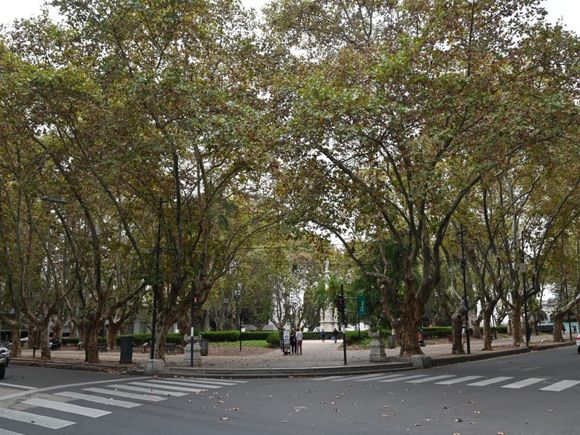 Desvíos en los recorridos de múltiples líneas de colectivos cerca de la plaza 25 de Mayo