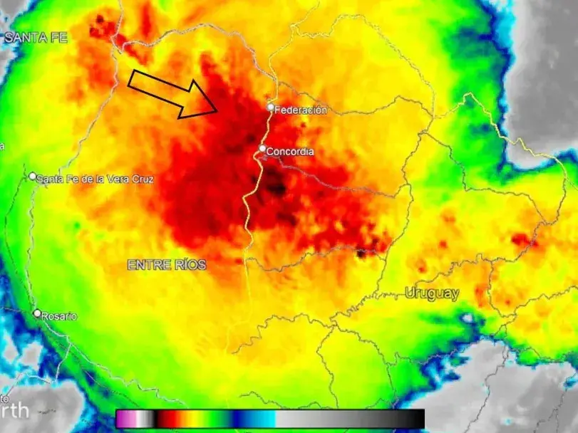 INTA confirmó que el temporal afectó unas 50.000 hectáreas en el noreste entrerriano